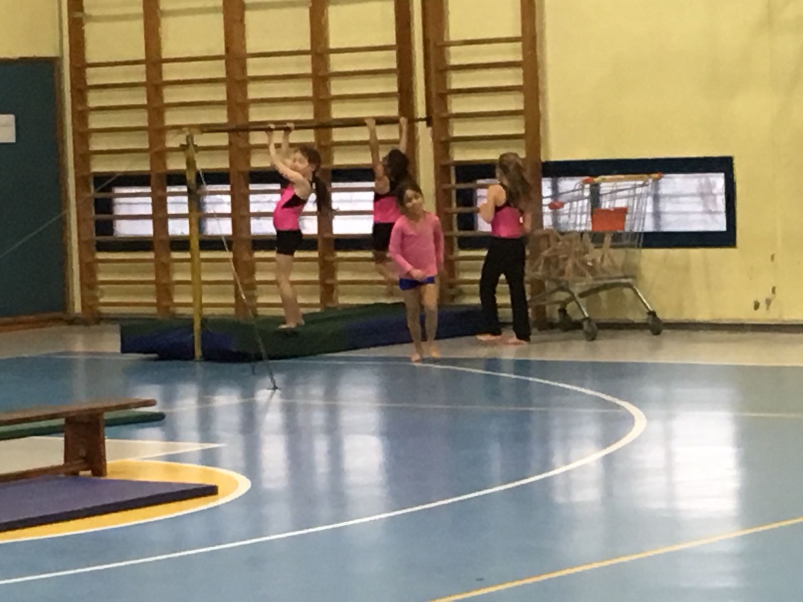 התעמלות קרקע ומכשירים 2018