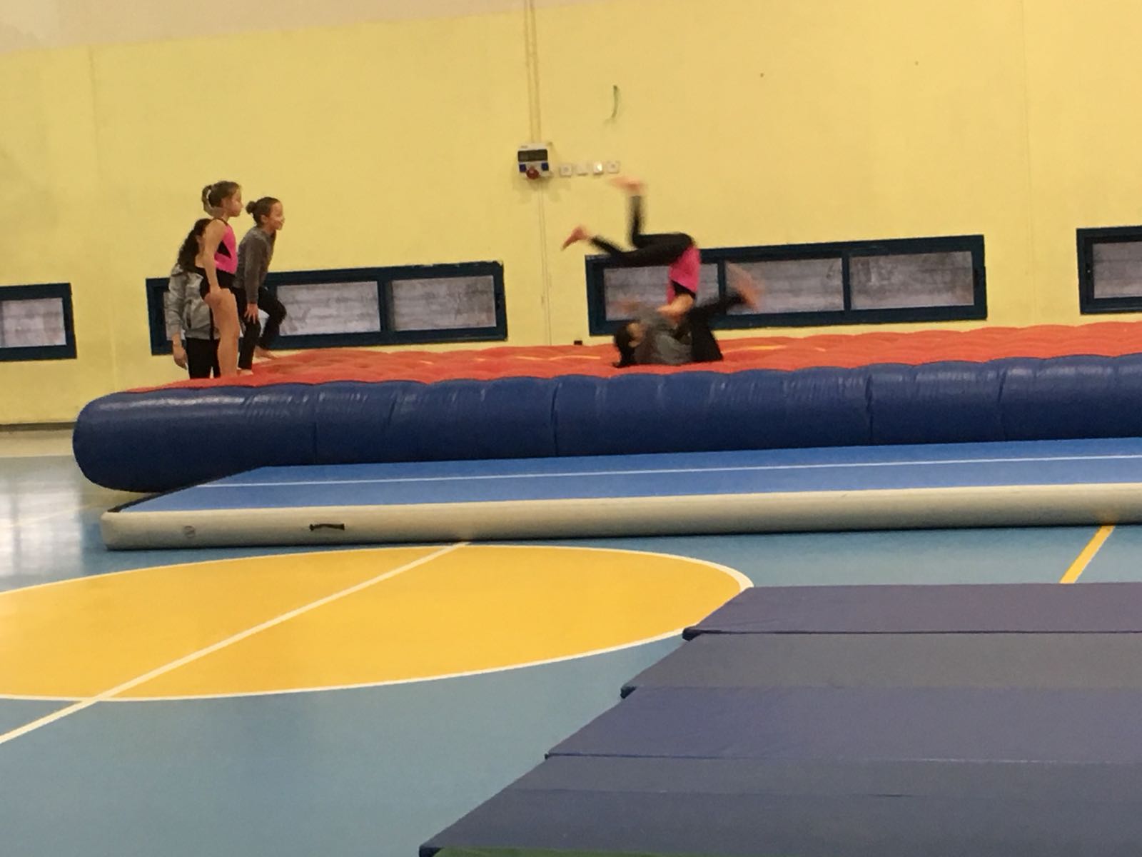 התעמלות קרקע ומכשירים 2018