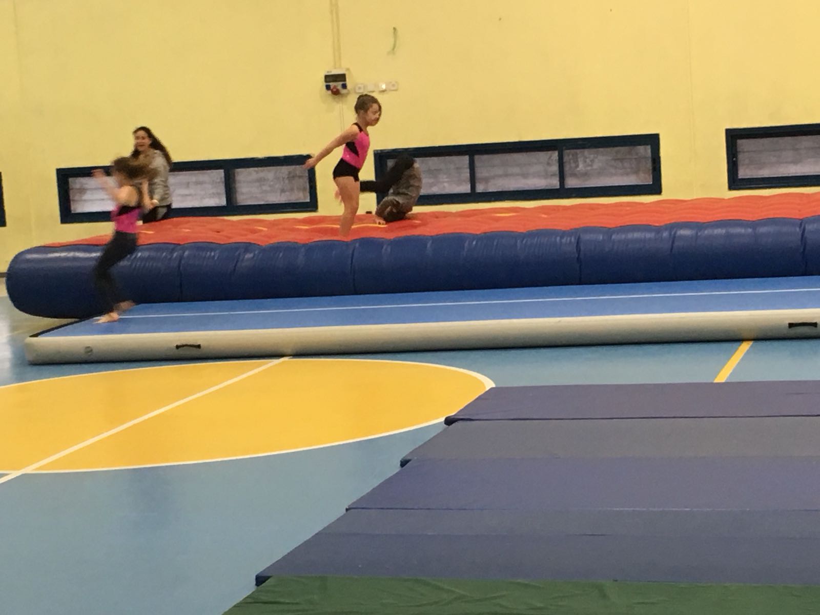 התעמלות קרקע ומכשירים 2018