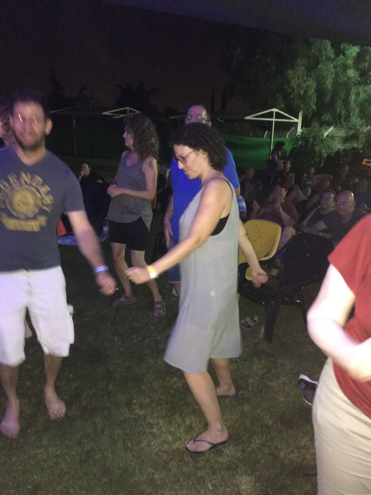 אנשי התמונות-כוורת