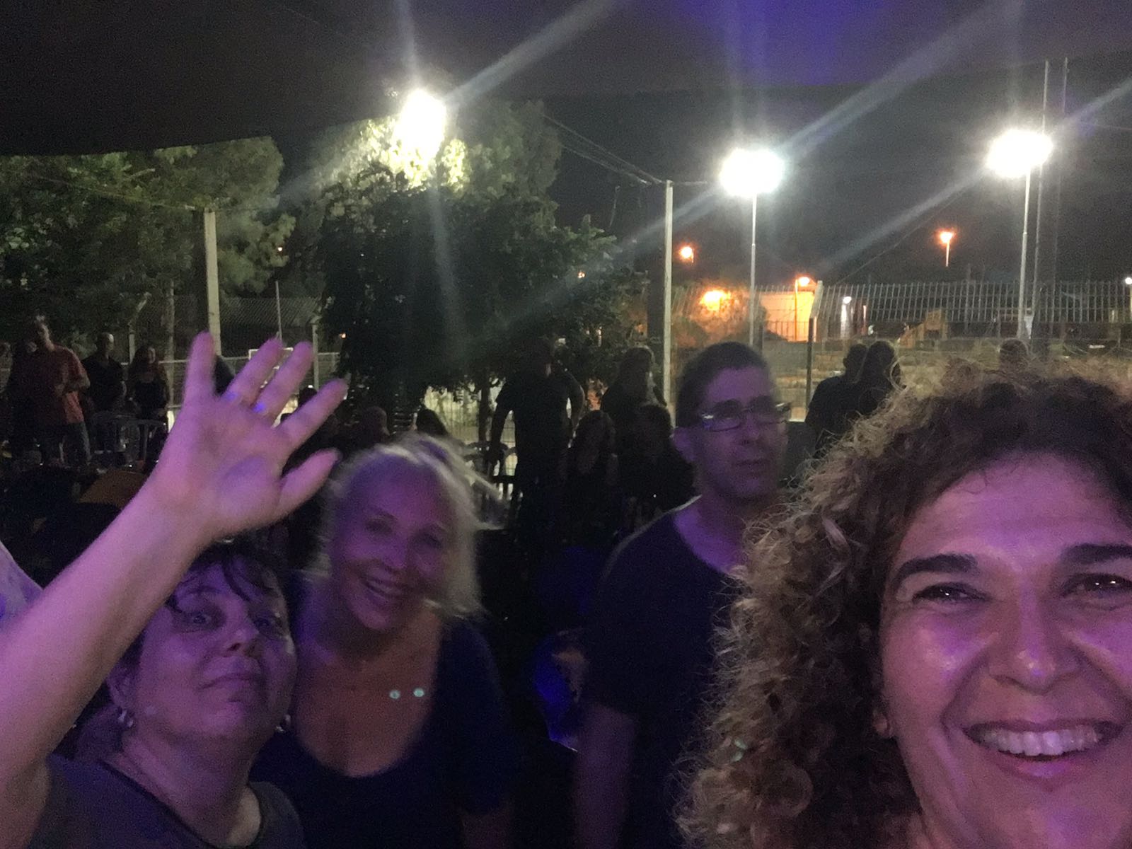 אנשי התמונות-כוורת